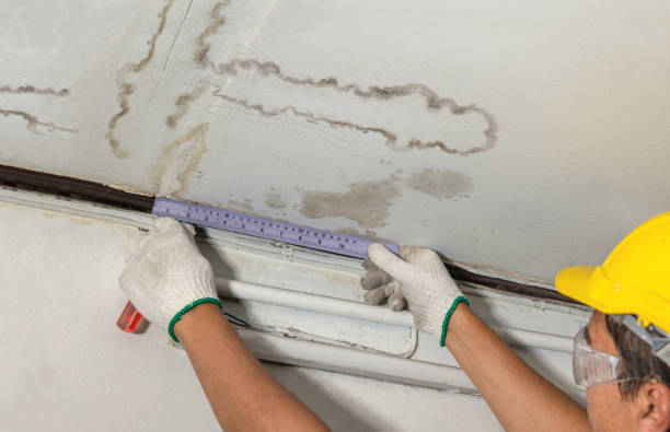 Reliable Structural Drying contractor in Middleville, MI by Water Damage Irwin